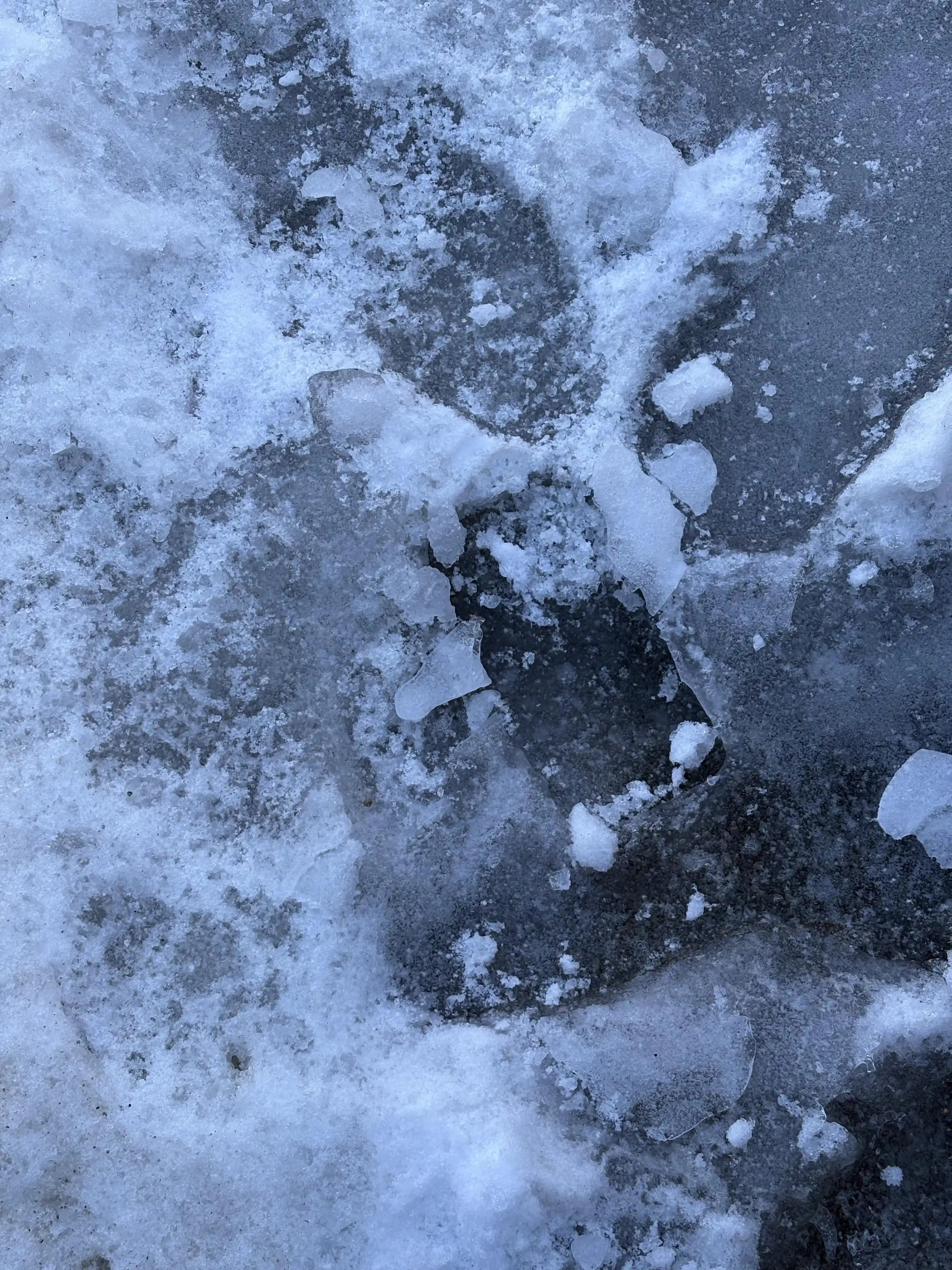 16 Gün Kar Altında Kalan iPhone'un Dayanıklılığı ve Soğukta Elektronik Performansı