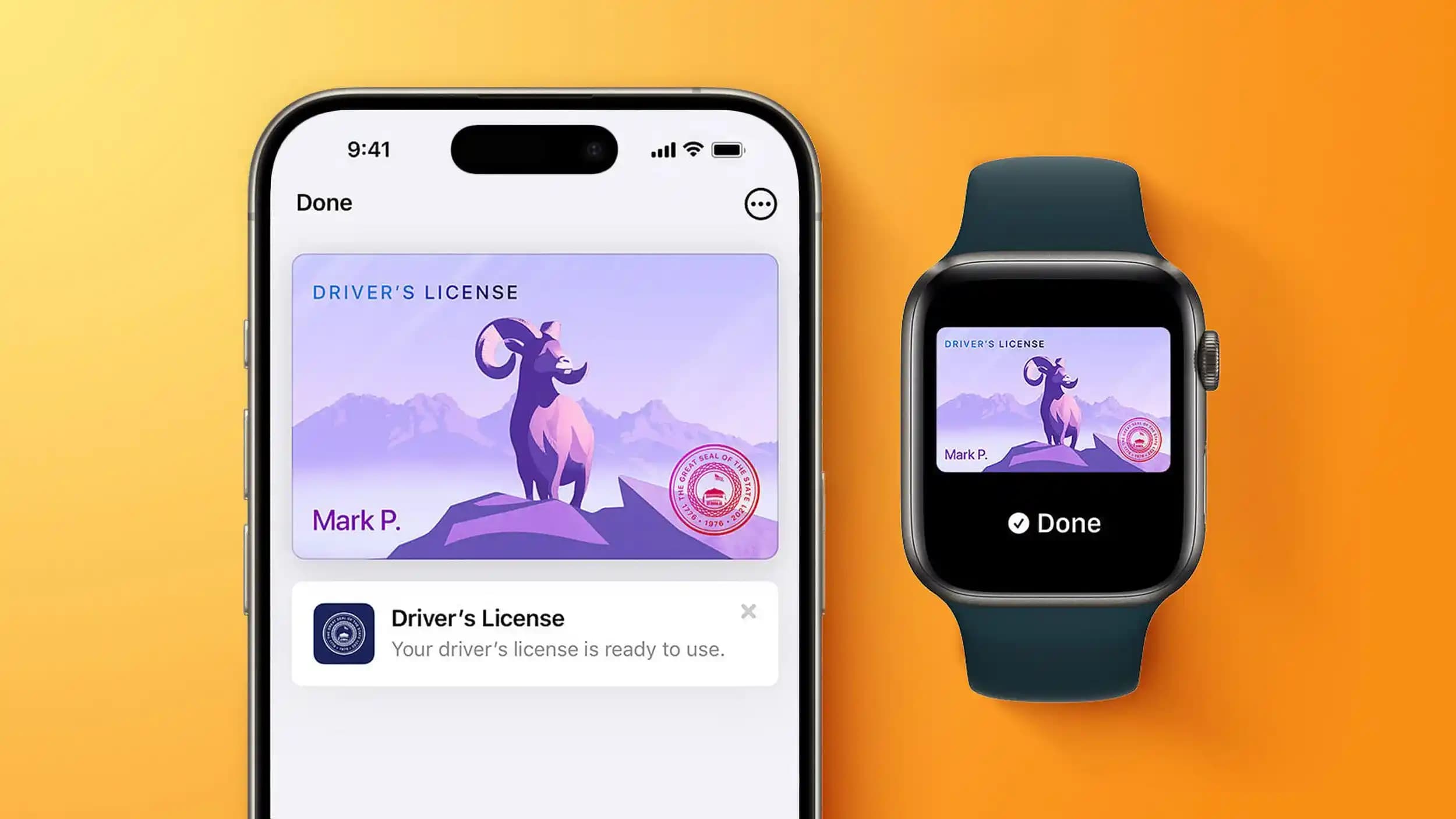 Apple iPhone Dijital Ehliyet Uygulaması: ABD'de Destekleyen Eyaletler ve Kullanım Alanları
