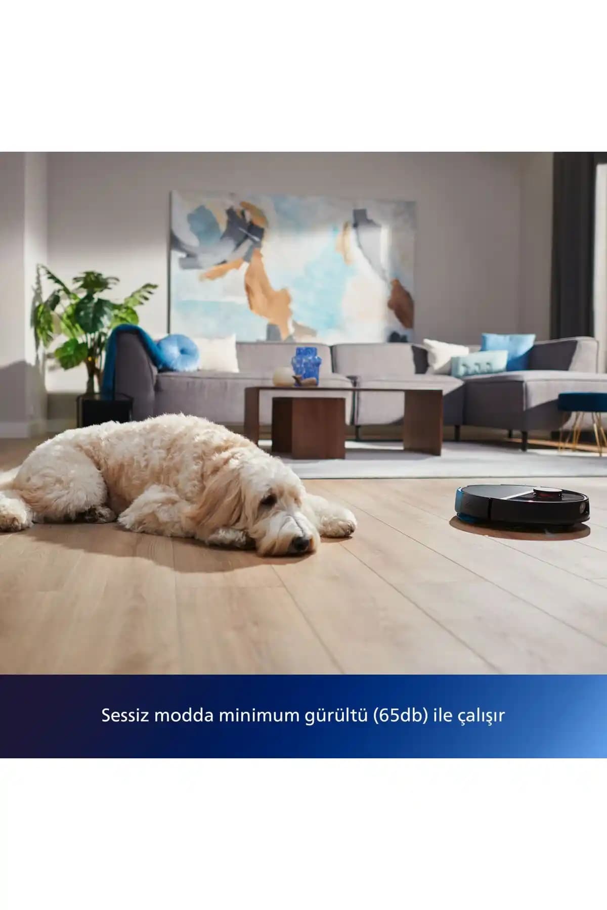 5000 Pa Güçlü Robot Süpürgeler: Yüksek Performans ve Temizlik Teknolojileri