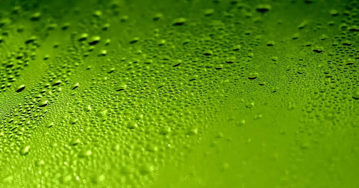 Gaming Aksesuarları ile Oyun Deneyimini Geliştiren En İyi Seçenekler ve Trendler