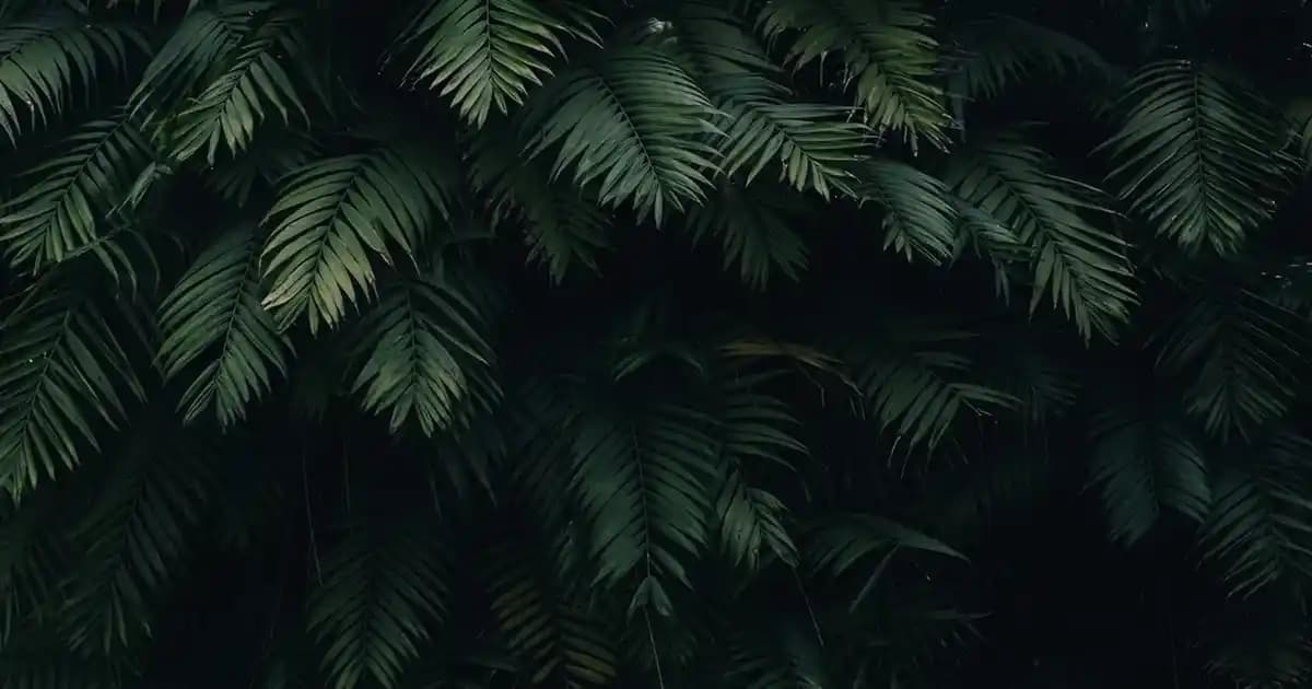 Kulaküstü Kablosuz Kulaklıklar: Konfor, Ses Kalitesi ve Teknolojideki Güncel Trendler