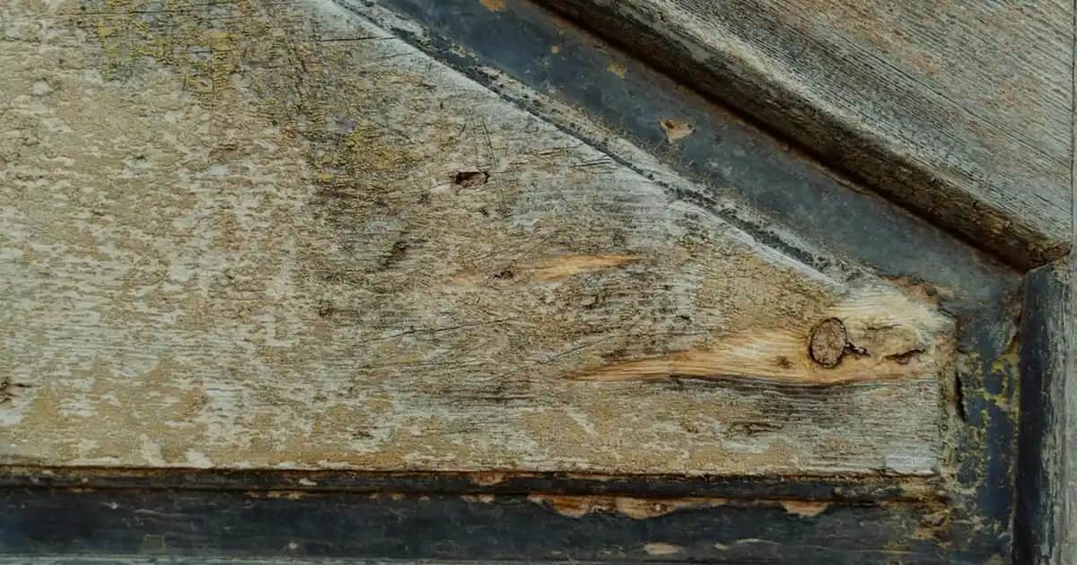 MacBook Air M2 için en iyi kılıf seçenekleri ve koruma çözümleri