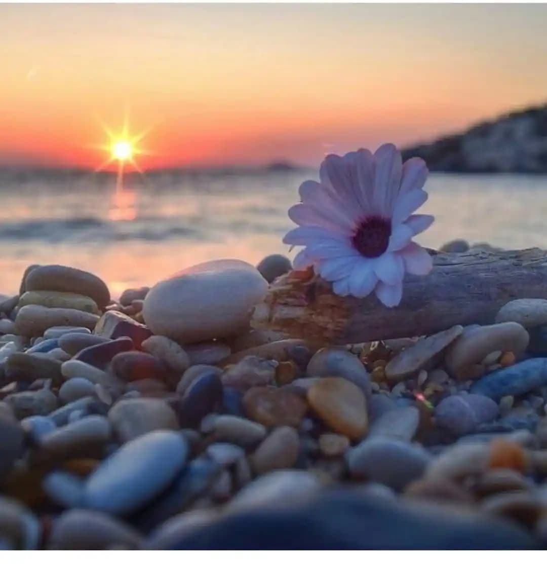 Dijital Kimliğinizi Yansıtan Profesyonel ve Uyumlu Profil Resmi Seçimi ve Tasarımı