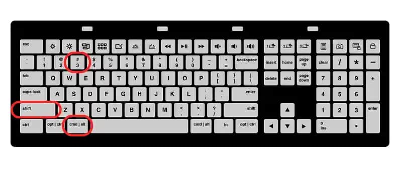 Ekran Fotoğrafı Nasıl Çekilir? Farklı Cihazlar İçin Pratik Yöntemler ve İpuçları