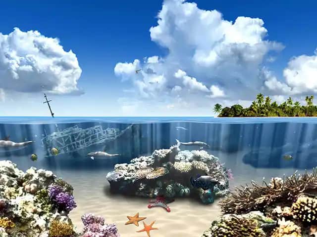 Elektronik Cihazlar İçin Ekran Koruyucu Seçimi ve Kullanımının Önemi