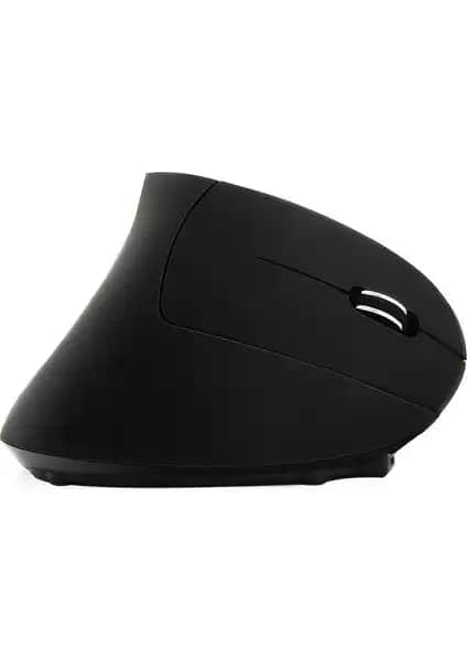 Cloody Dikey Ergonomik ve Studz M6 Tavşan Kablosuz Mouse Karşılaştırması