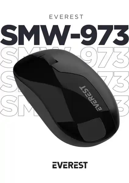 Everest SMW-973 ve Rapoo 18185 Kablosuz Mouse Karşılaştırması