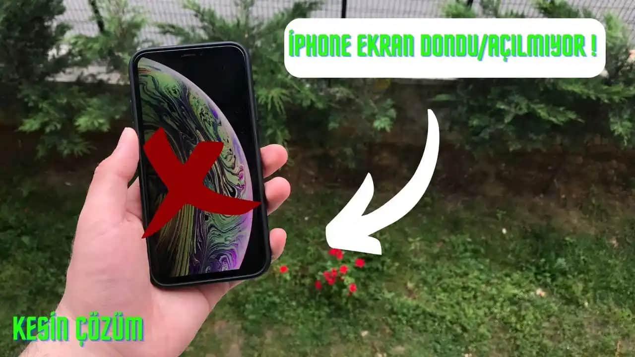 iPhone 14 Pro Max Ekran Donması Sorunu ve Çözüm Yolları