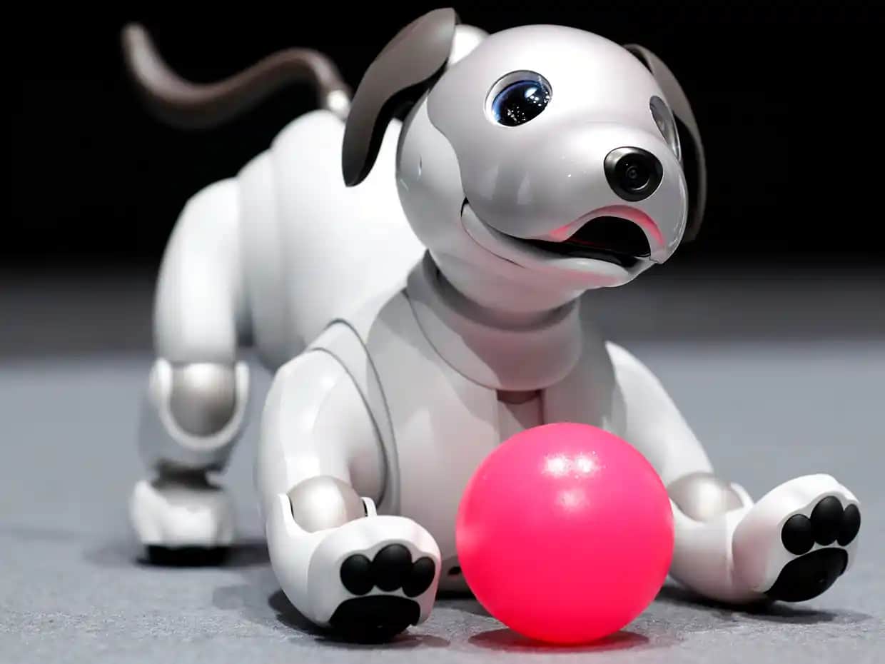 Robot Köpeklerin Özellikleri ve Gelecekteki Elektronik Sektörüne Etkileri