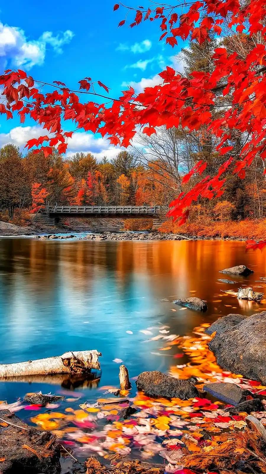 Telefon için Duvar Kağıdı Seçerken Dikkat Edilmesi Gerekenler Rehberi