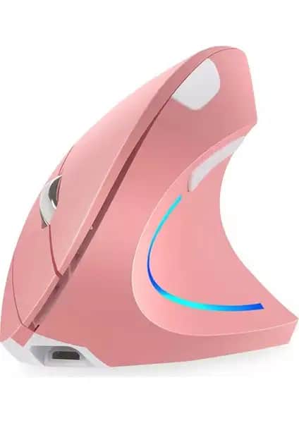Cloody Dikey Ergonomik ve Studz M6 Tavşan Mouse Karşılaştırması