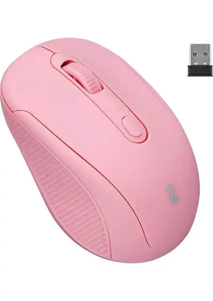 Everest SM-300 ve Lecoo WS202 Kablosuz Mouse Karşılaştırması ve Seçim Rehberi