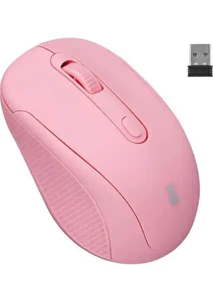 Everest SM-300 ve SM-BT31 Karşılaştırması: Kablosuz Mouse Seçenekleri Analizi
