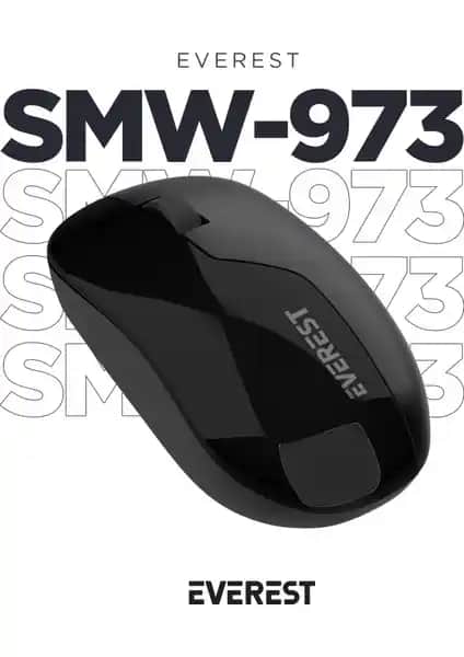 Everest SMW-973 ve Philips SPK7315 Kablosuz Mouse Karşılaştırması