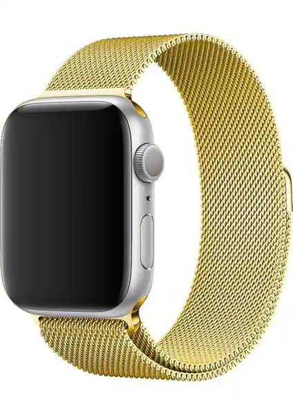 Mobilite Milano Loop Çelik Örgü Kordon Apple Watch Serileri İçin Uyumlu