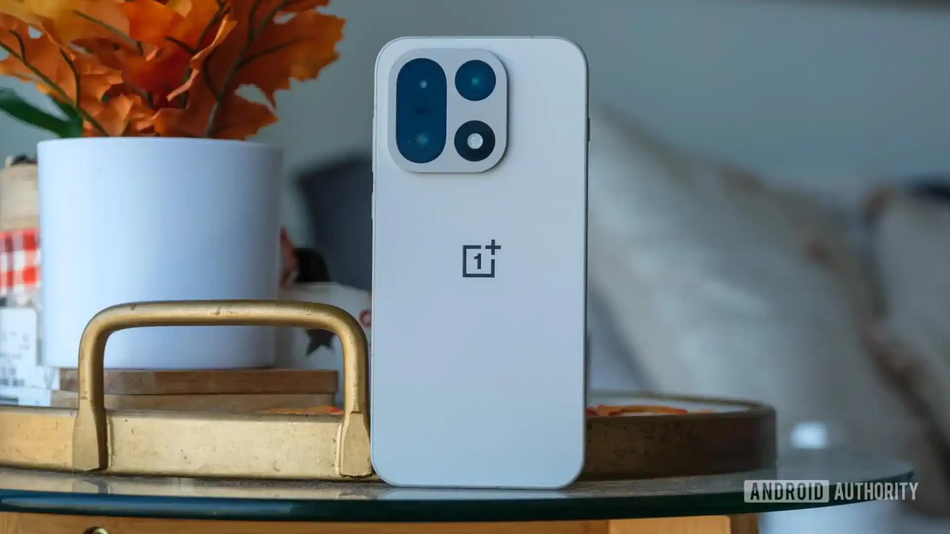 OnePlus ABD Topluluğundaki Durgunluğun Nedenleri ve Pazar Dinamikleri Üzerine Analiz