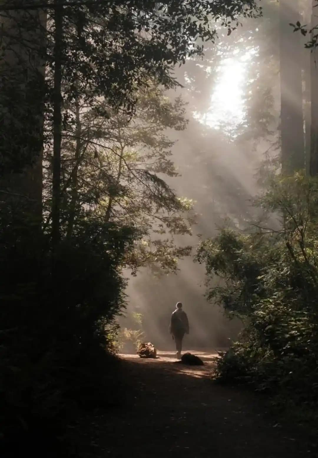 200-300 Dolar Bütçeyle Seyahat Fotoğrafçılığı: Telefon mu Kamera mı Tercih Edilmeli?