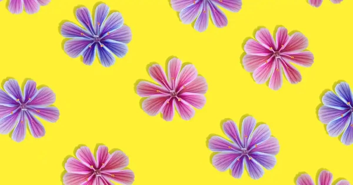 65 İnç Ekranın Boyutları ve Kullanım Alanları: Detaylı Teknoloji Rehberi