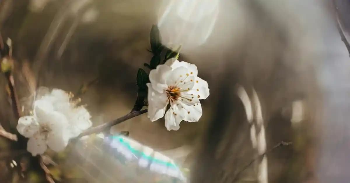 Akıllı Saatlerin Sağlık, İletişim ve Teknoloji Alanındaki Güncel Rolü ve Geleceği