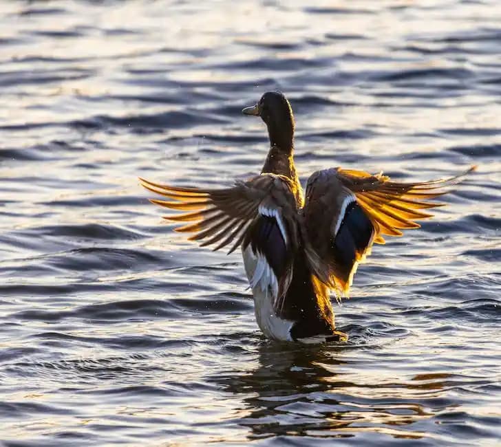 Alt Çizgi (Underscore) Nedir ve Teknolojide Kullanım Alanları Nelerdir?