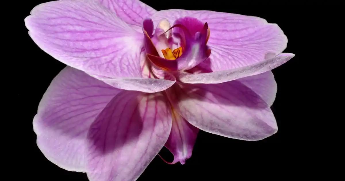 Arçelik Buzdolabı Dijital Ayarının Doğru Yapılması ve Performans Optimizasyonu