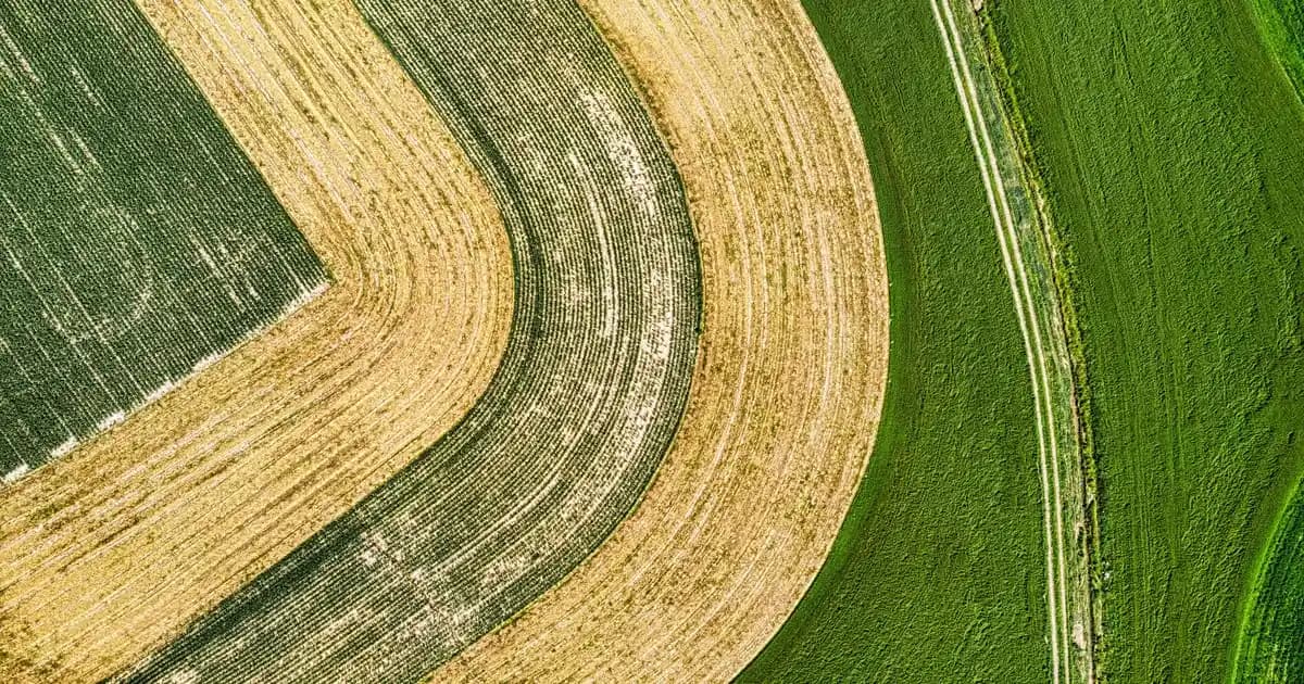 Batum Teknoloji Mağazaları: Gürcistan'da Akıllı ve Ekonomik Alışverişin Merkezi