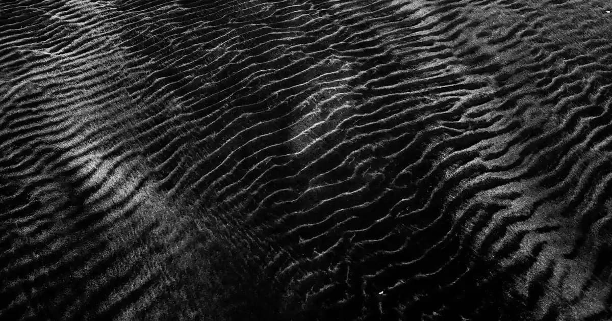 Beko Derin Dondurucu Ayarları ve Bakımı: Doğru Sıcaklık ve Verimli Kullanım Rehberi