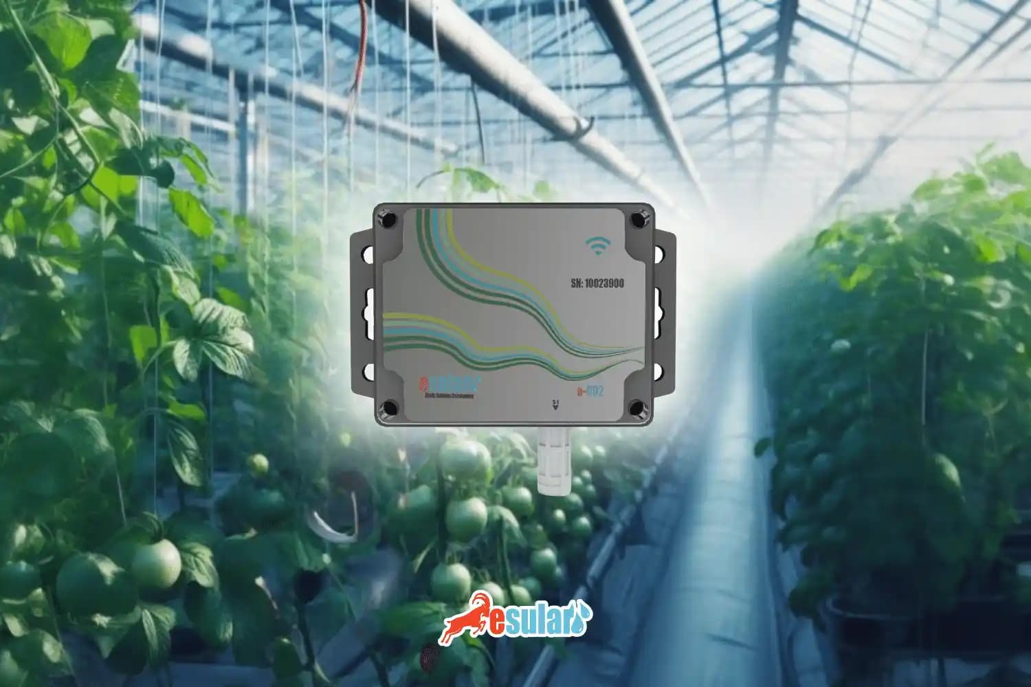 Bilgisayarda CO₂ Yazımı: Alt Simgeler ve Unicode ile Detaylı Rehber