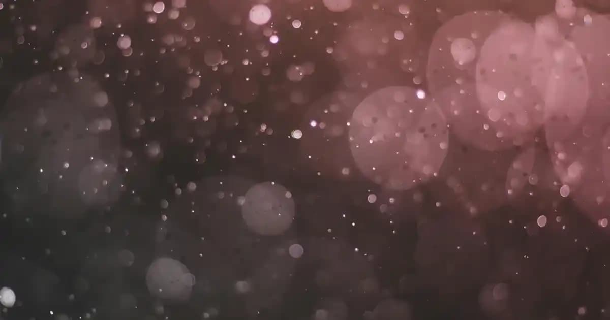 BluTV İletişim Kanalları ve Kullanıcı Destek Hizmetleriyle Kesintisiz Dijital Yayın