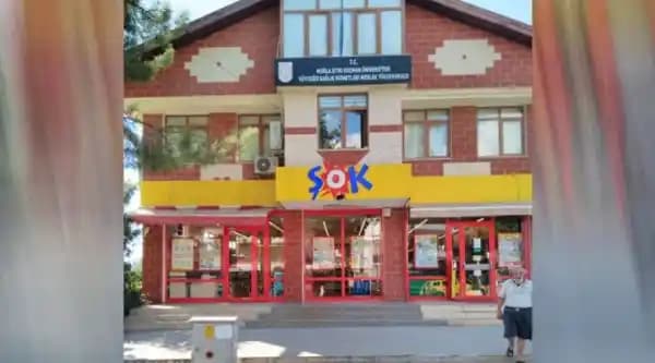 Dijital Çağda Akademik Şok Giriş: Bilimsel Araştırmada Yeni Erişim Yöntemleri