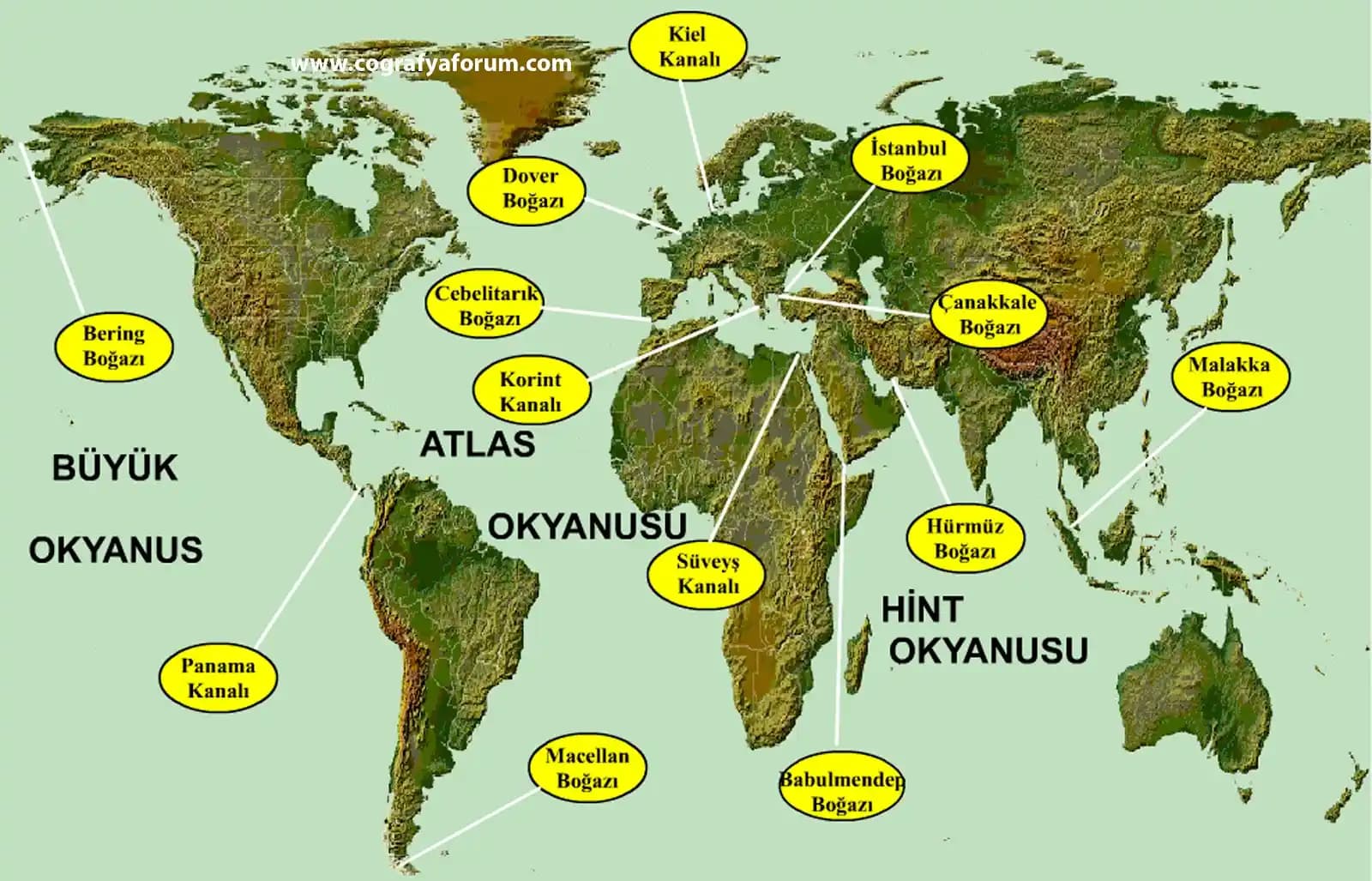 Dünyadaki Erotik Kanalların Dijital Dönüşümü ve Teknolojik Gelişmelerin Etkisi
