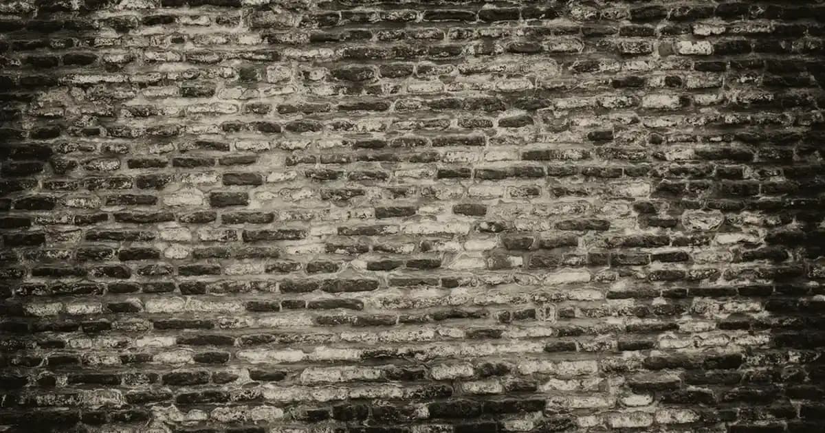 Elektrikli Süpürgelerde Emiş Gücü ve Performans: En İyi Modeller ve Seçim Kriterleri