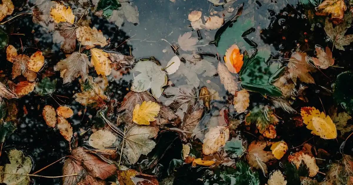 FreeDOS İşletim Sistemi: MS-DOS Mirasını Yaşatan Açık Kaynak Alternatif