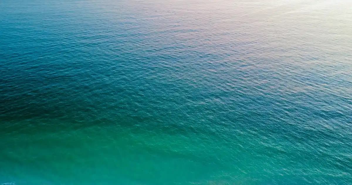 Gürcistan Elektronik Market Siteleri: Geniş Ürün Yelpazesi ve Avantajlı Alışveriş İmkanları