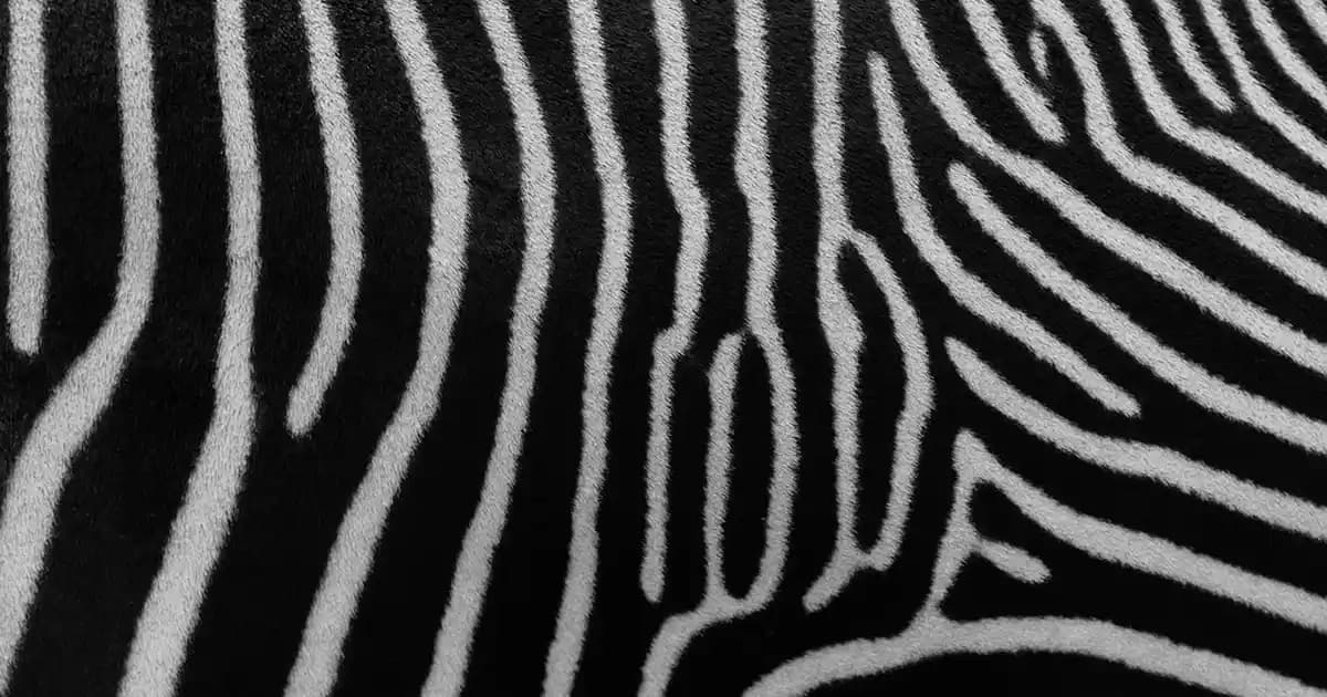 Instagram Canlı Yayın Deneyimini Geliştiren Akıllı Cihazlar ve Stratejiler