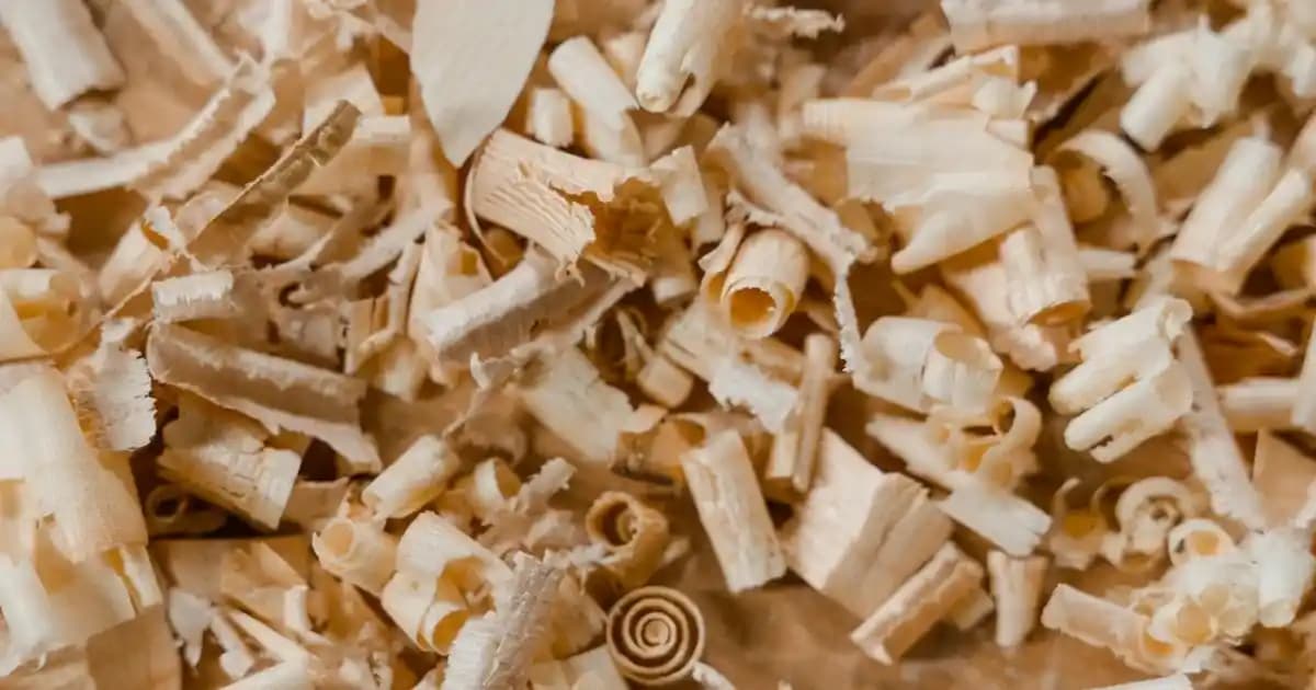 İnternet Paylaşımı Neden Olmuyor? Sorunların Çözümü ve Teknik Rehber