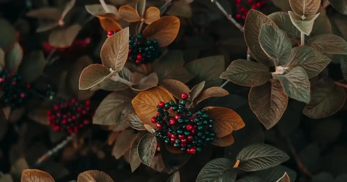 Kopyala Kısayol: Dijital Dünyada Hız ve Verimlilik Sağlayan Temel Klavye Kombinasyonları