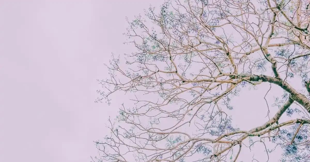 Logitech G733 ve G435 Gaming Kulaklık Karşılaştırması: Hangi Model Sizin İçin Daha Uygun?