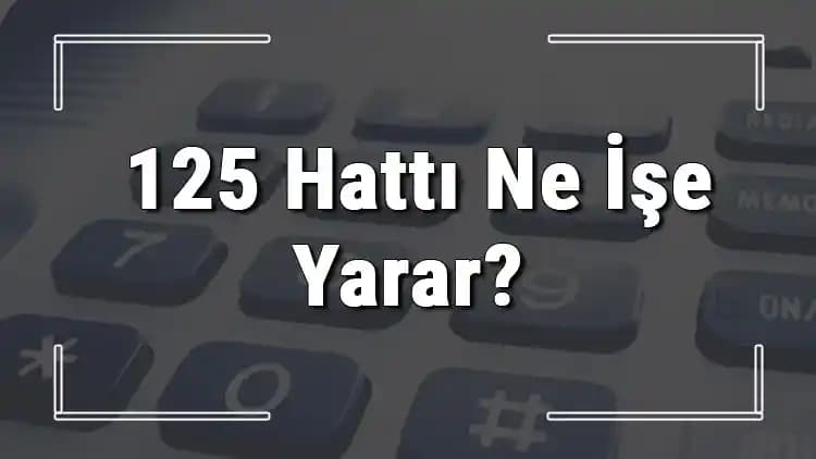 Türkiye'de 125 Numarası: Doğal Afet Sigortaları Kurumu ve Alo DASK Hattı