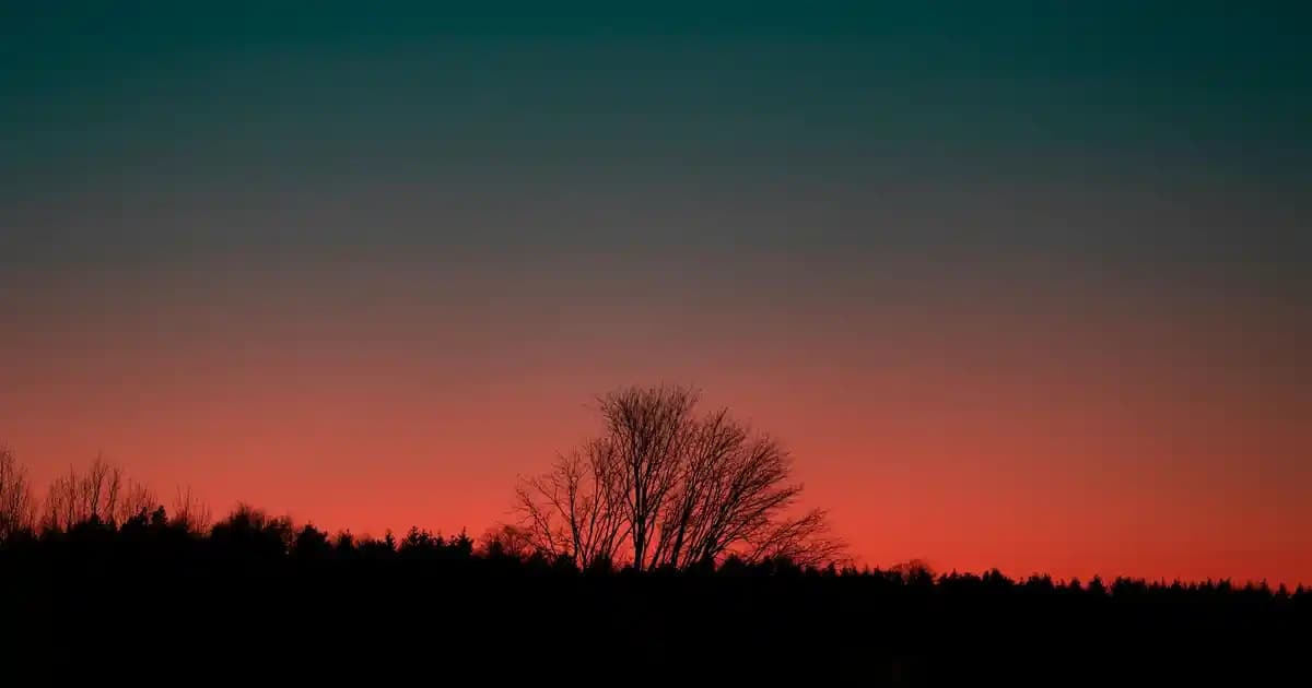 Windows ve Cihazlarda Ekran Yenileme Hızı Değiştirme Rehberi ve Önemli Bilgiler