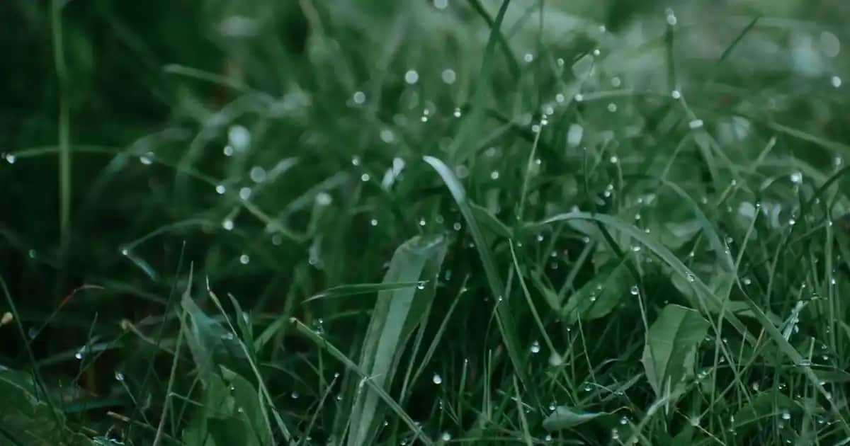 Bilgisayar Kasası Seçimi: Performans ve Güvenlik İçin Doğru Kasa Nasıl Seçilir