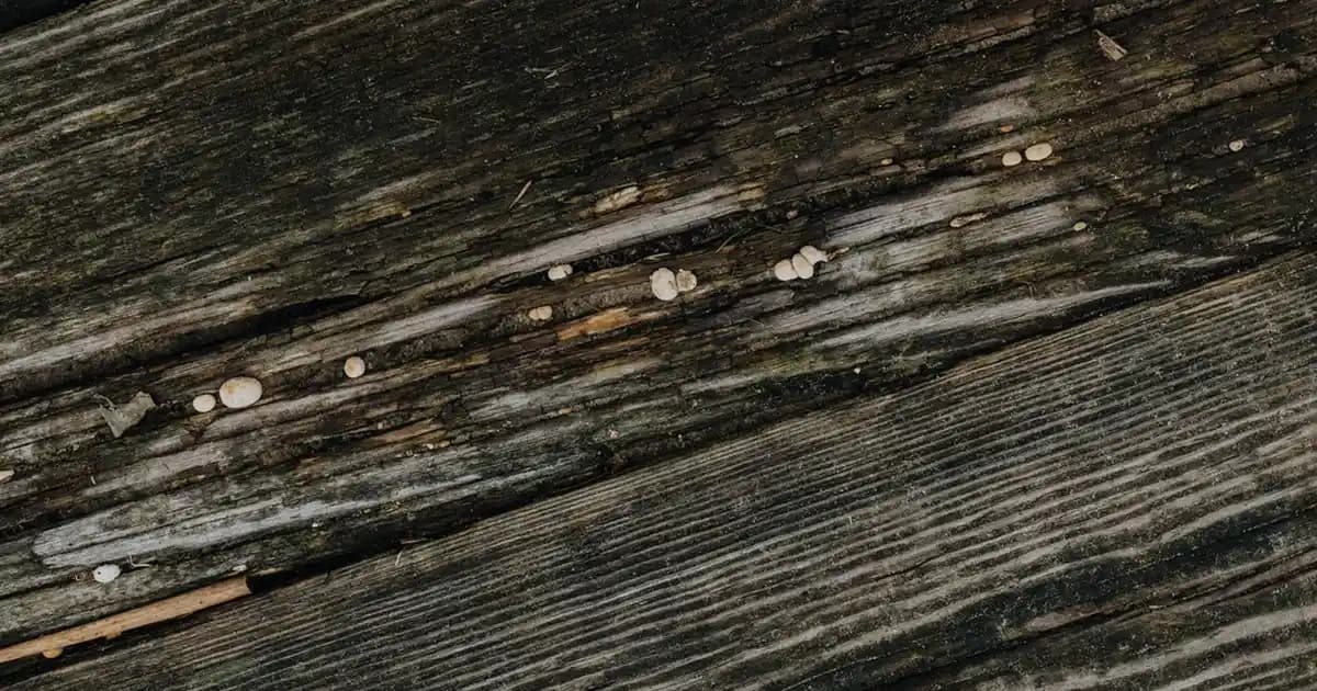 Ekrana Hava Durumu Ekleme Rehberi: Android ve iOS İçin Adım Adım Kılavuz