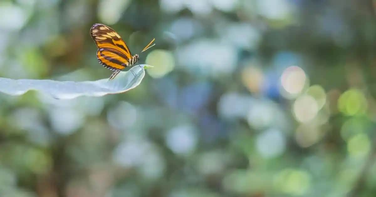 Kırık Telefon Ekranı Çözüm Yolları ve Dikkat Edilmesi Gerekenler