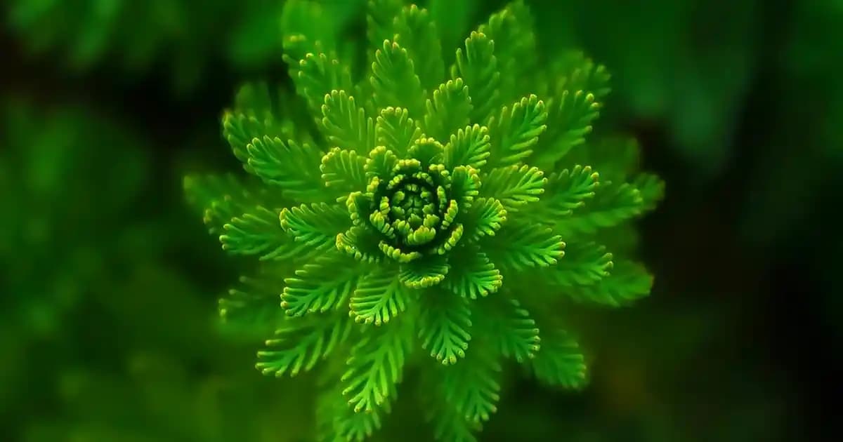 Micro LED Teknolojisi: Yüksek Kalite ve Dayanıklılıkla Geleceğin Ekran Deneyimi