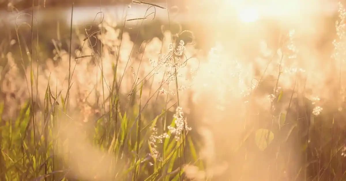 PlayStation 5 Donanım Güncellemeleri ve Yeni Modeller Hakkında Güncel Bilgiler