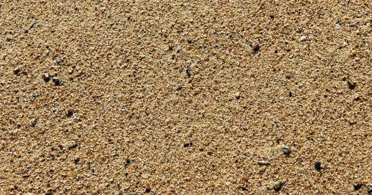 Telefon Sensörleri Nasıl Kapatılır Detaylı Rehber ve Güvenlik İpuçları