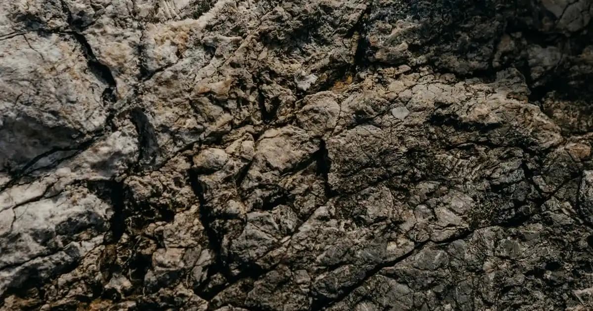 Türkiye’nin Telefon Markaları ve Üretim Gücü: Yerli ve Uluslararası Firmaların Durumu