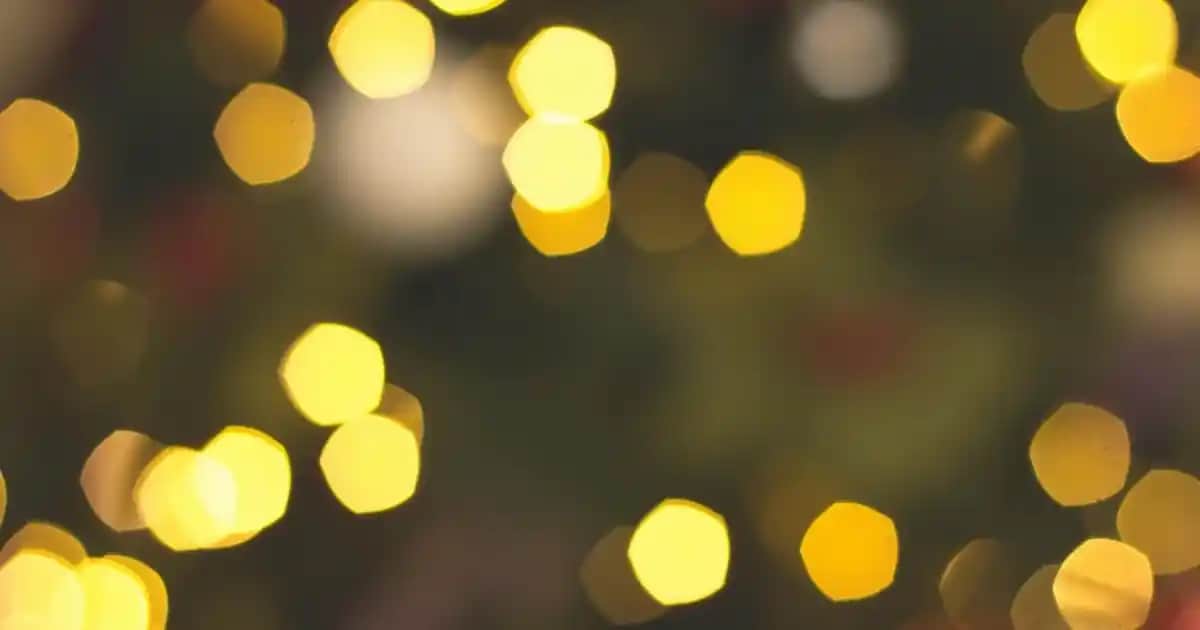 Xiaomi Mi 11 Lite Kamera Problemleri ve Çözüm Yöntemleri Hakkında Detaylı Rehber