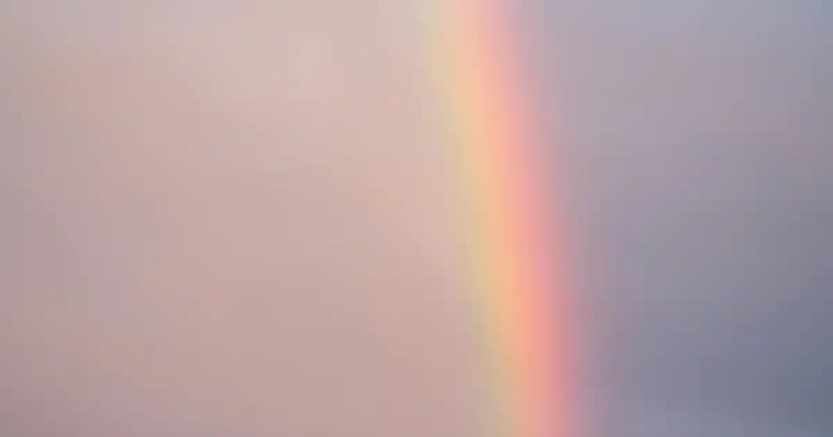 Hesap Makinesi ile Yüzde Hesabı Nasıl Yapılır? Temel Formüller ve Örnekler