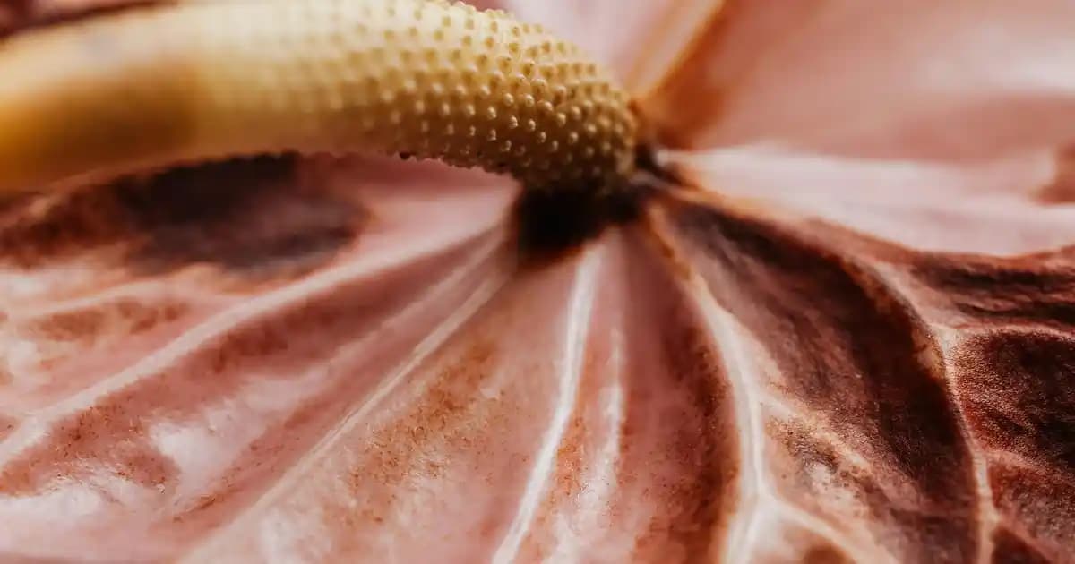 Laptop Touchpad Çalışmıyor Sorunu: Nedenleri ve Etkili Çözüm Yöntemleri